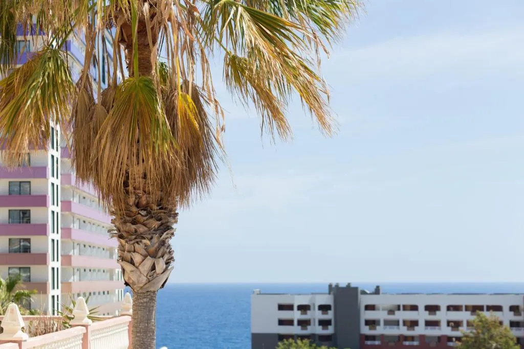 Imagen 5 de Paradise Luxury Apartment