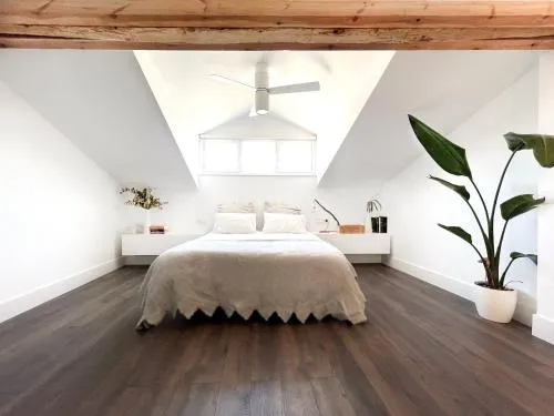 Luxury Pintoreria Atico