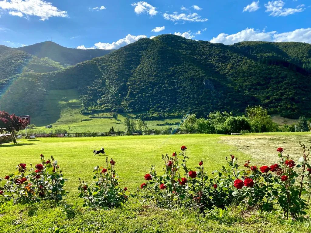 Imagen 4 de Casa Rural Alquitara
