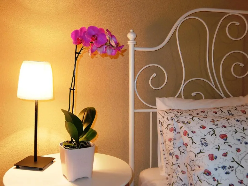 Imagen de Casa Cotiellu