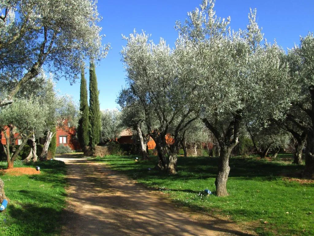 Imagen 4 de Camping Alquézar