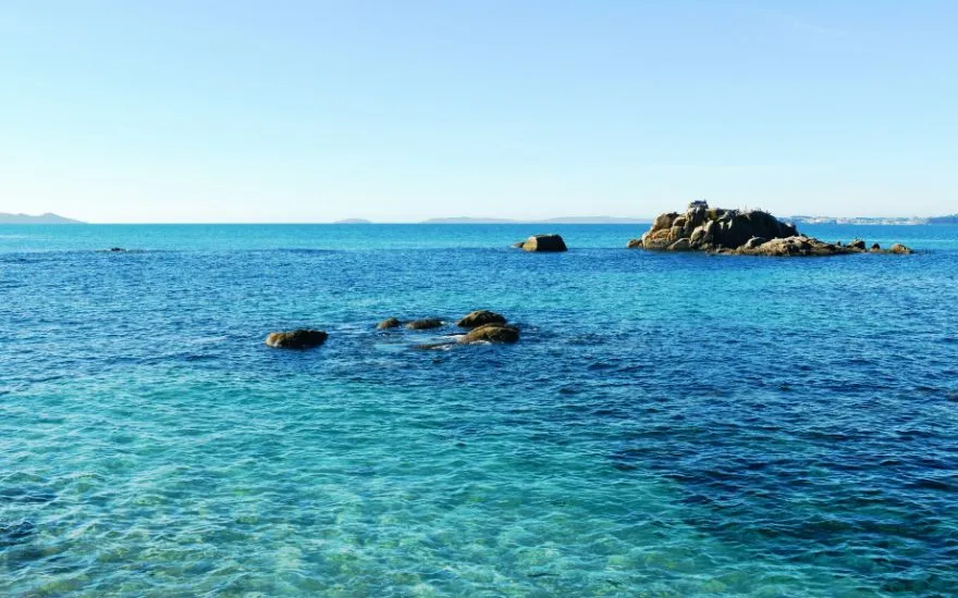 Viajar con perros a Pontevedra