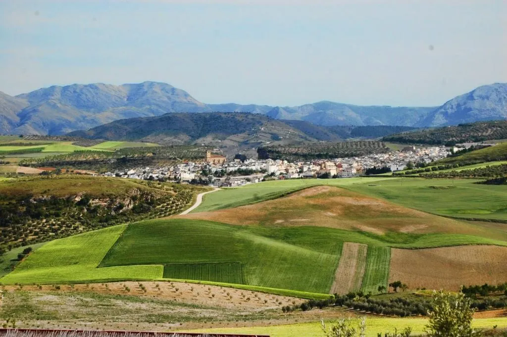 Imagen 4 de Apartamentos Turisticos Cortijo Garces