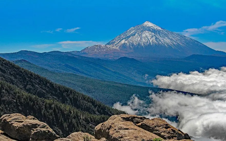Viajar con perros a Santa Cruz de Tenerife