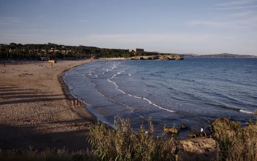 Viajar con perros a Tarragona