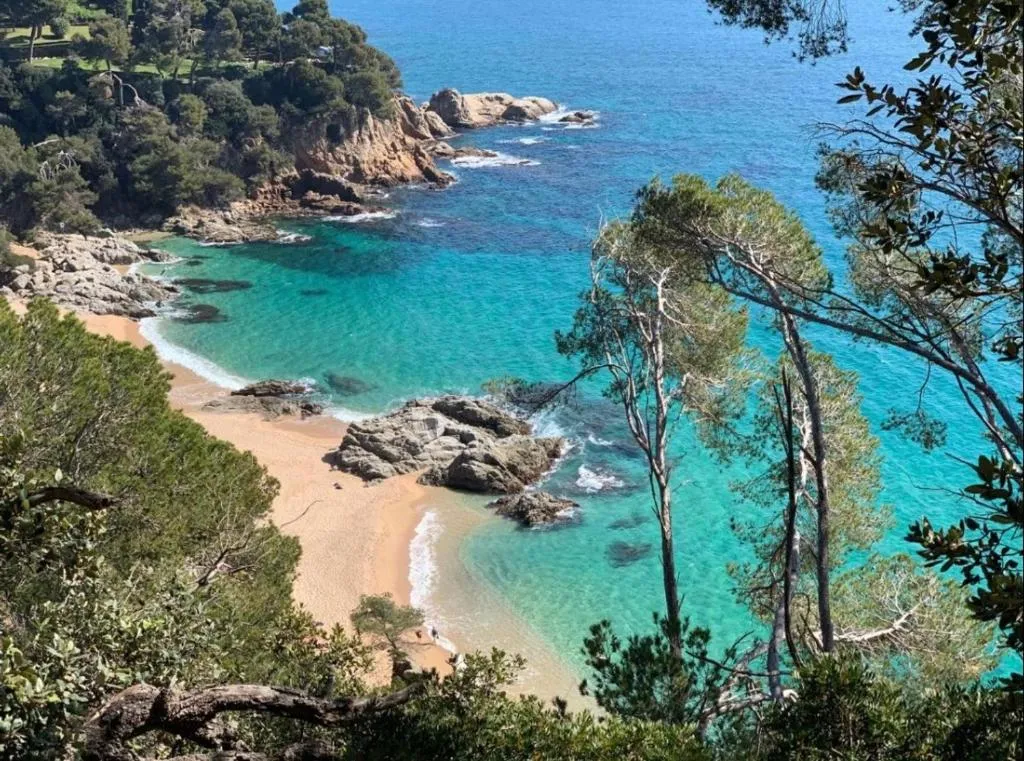 Imagen 4 de SeaHomes Vacations, FENALS BEACH&CHIC, pk, top apartment full equipped