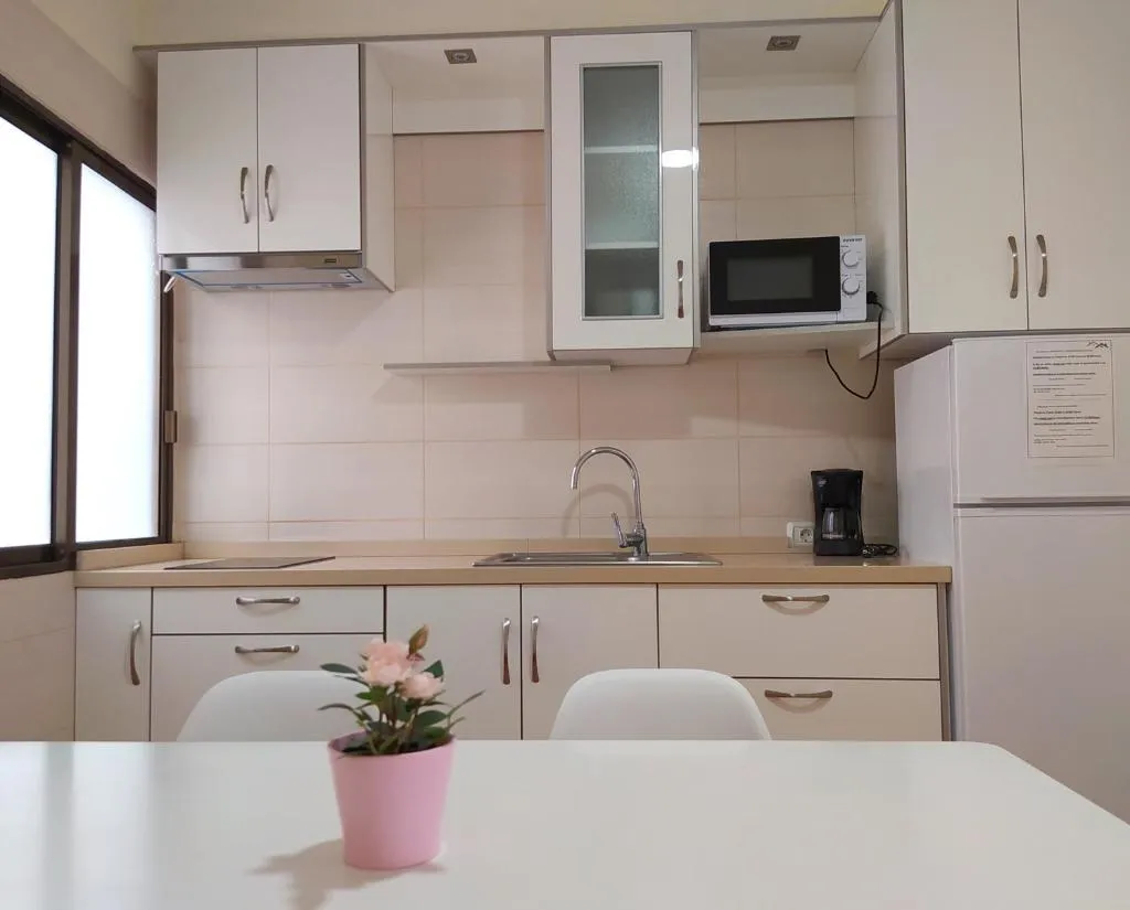 Imagen 7 de Apartamentos la villa 4