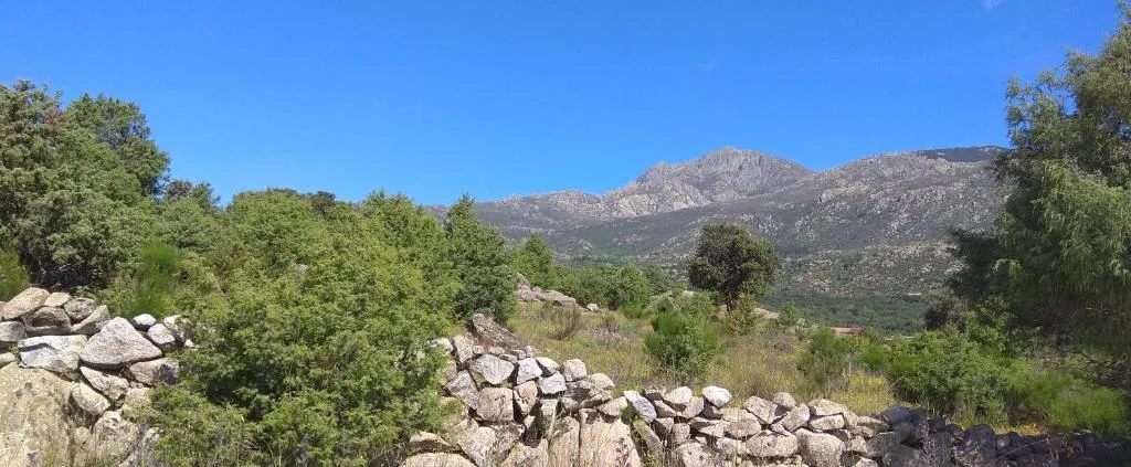 Imagen 5 de Acogedora casa rural en la sierra de Madrid
