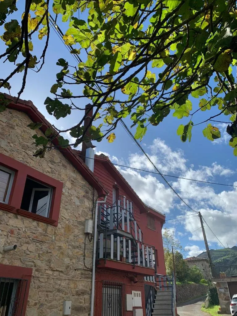 Imagen 4 de El Desván del Chisco