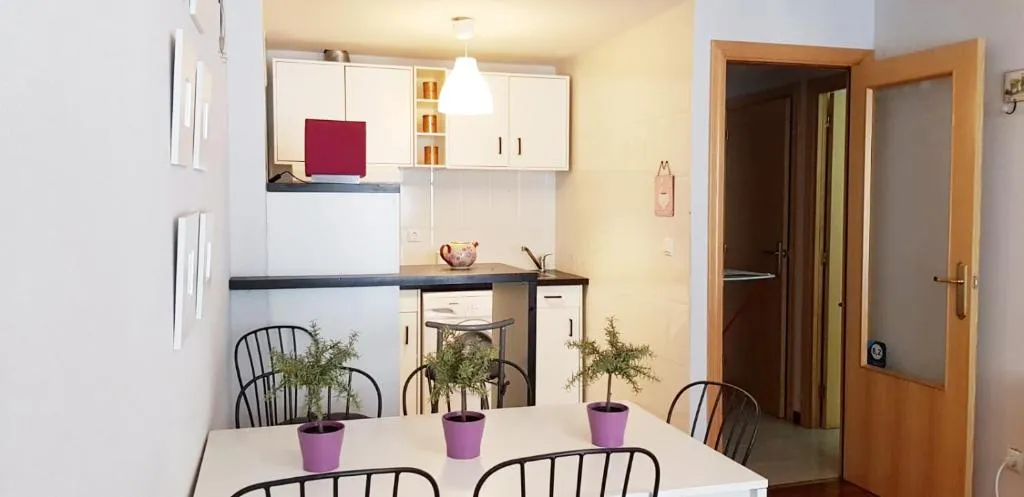 Imagen 5 de Vivienda Turística Pirineos XXI