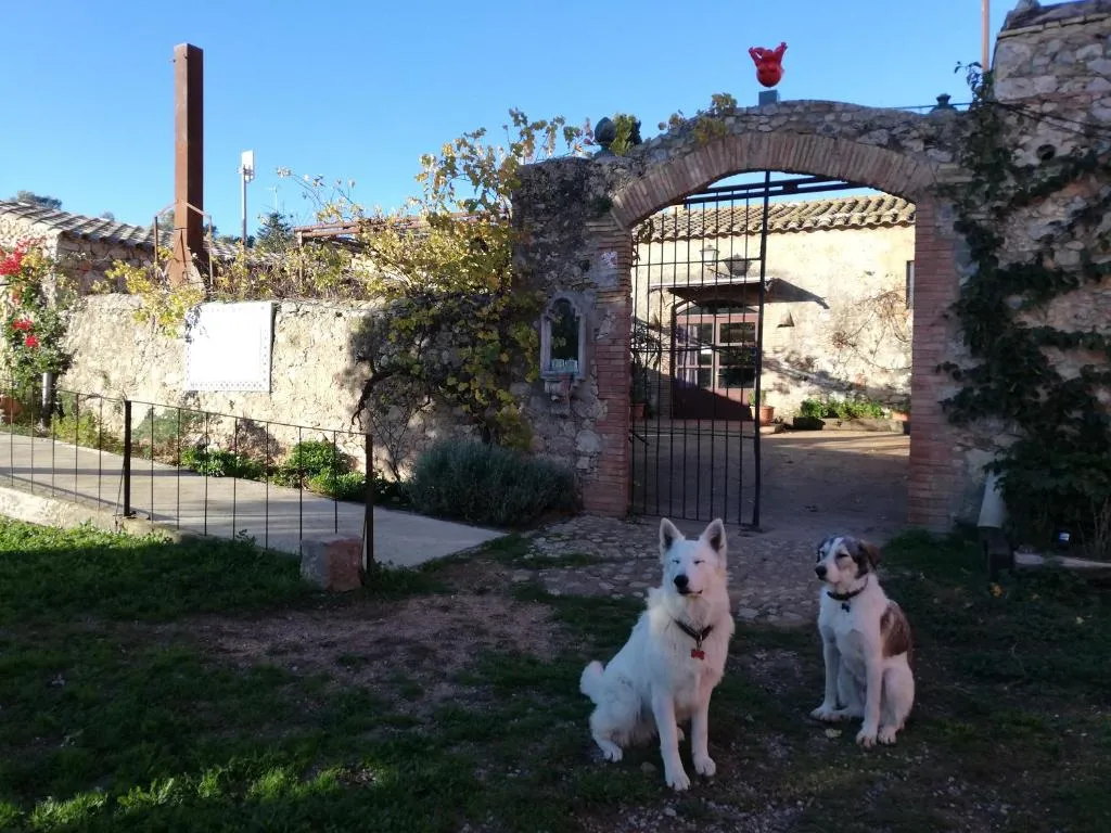 Imagen de Mas Del Llop Blanc - Dog friendly Hostal Rural - B&B
