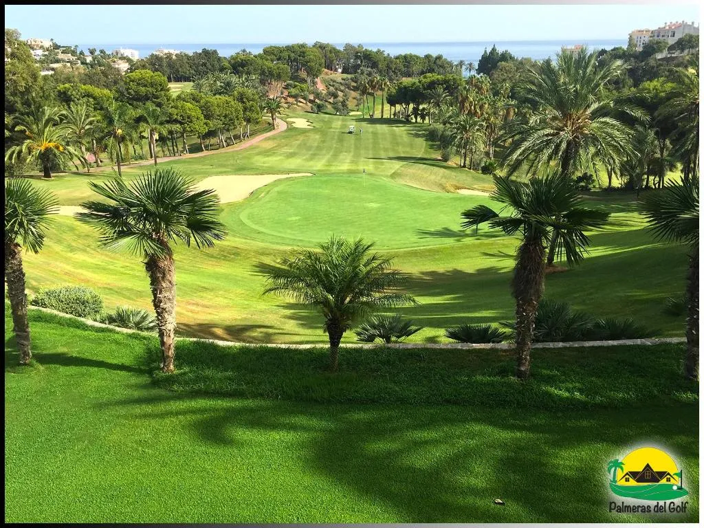 Imagen de Palmeras del Golf - Torrequebrada