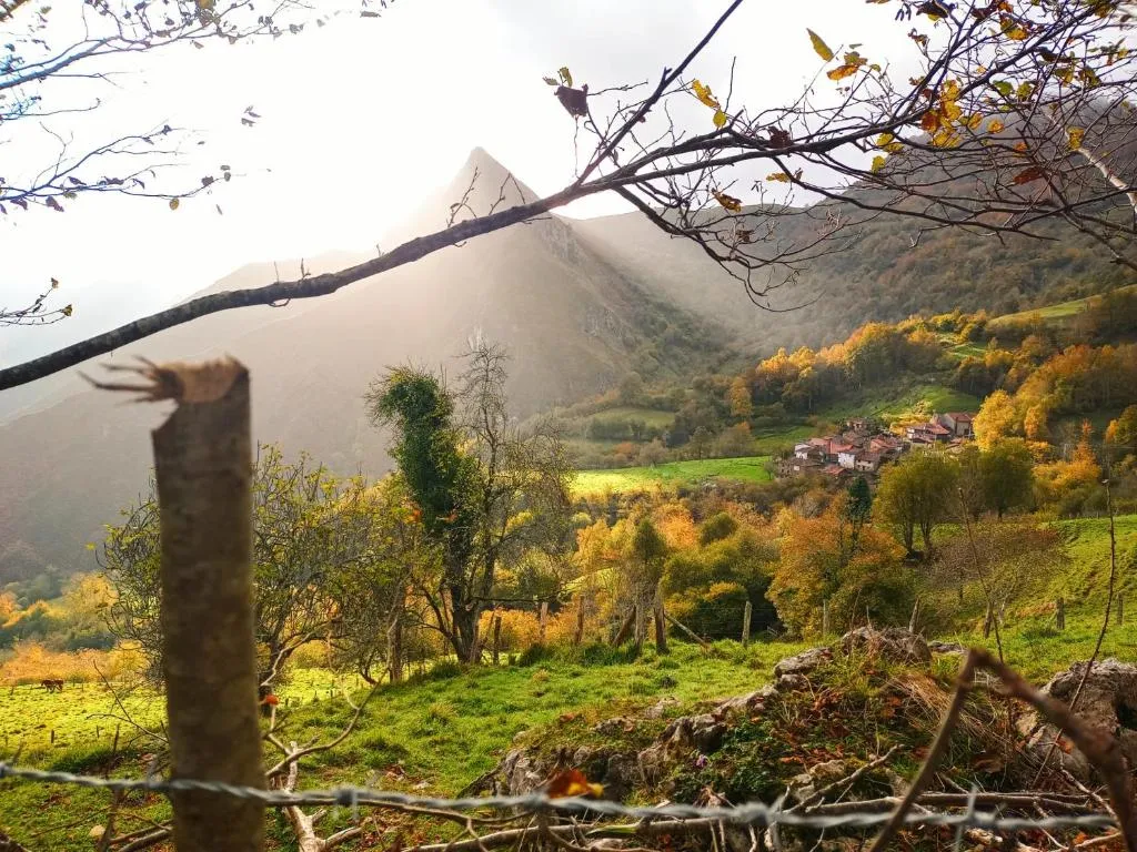 Imagen 8 de Casa de Ligueria