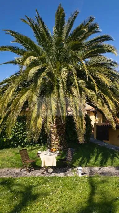 Imagen 5 de La Casona Del Cura III