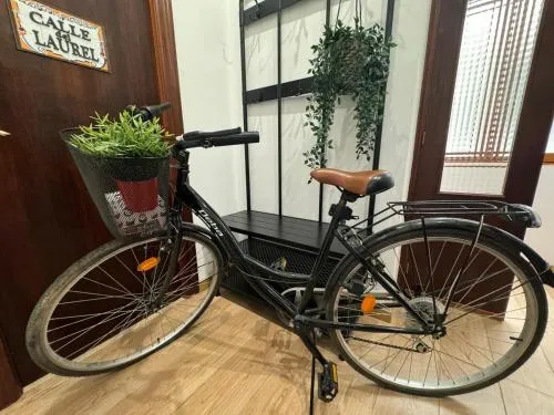 BIKE APARTMENT next to Cathedral and Laurel by Apartamentos Logroño org