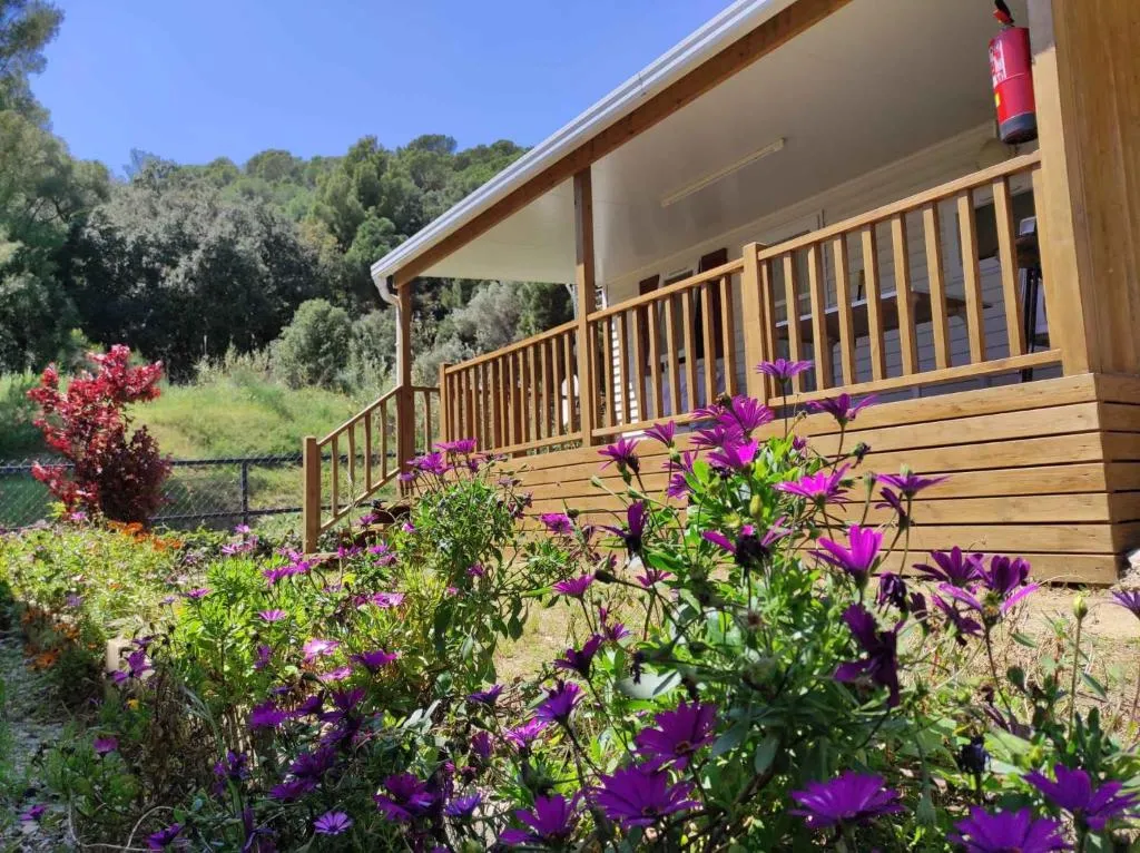 Imagen 8 de Holiday home in Calella de la Costa 3641