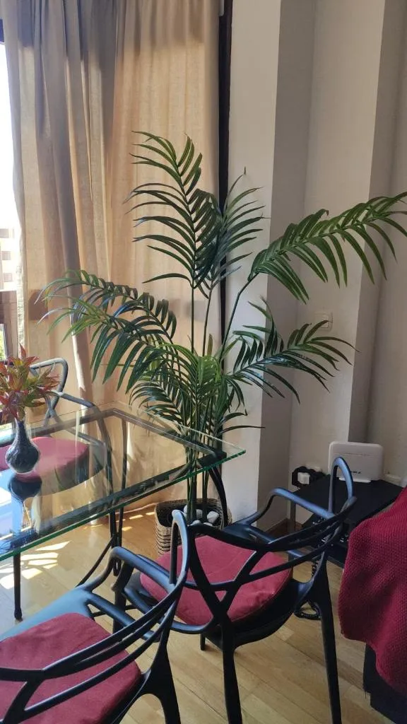 Imagen 6 de Piso con piscina y garaje en zona Plenilunio