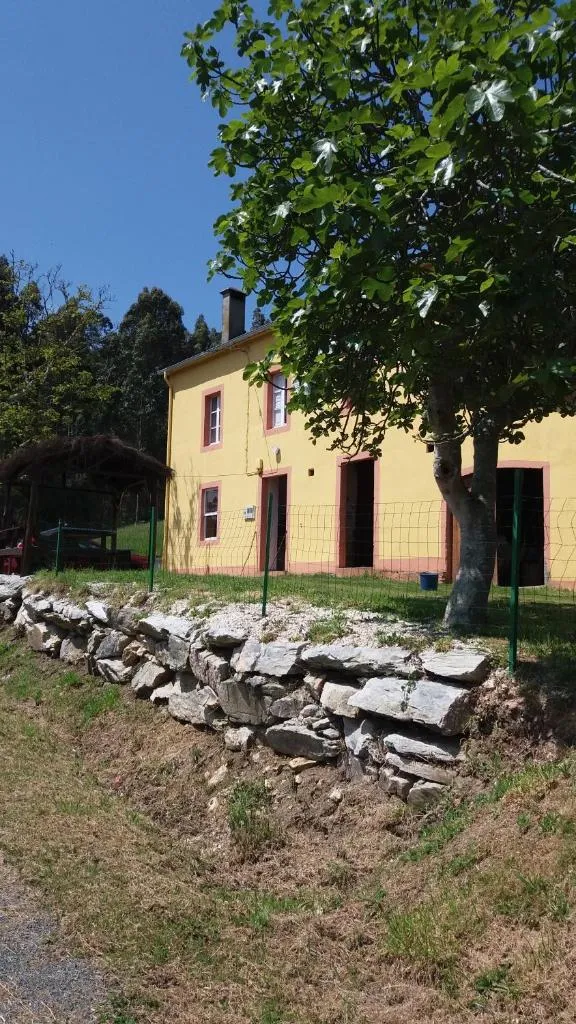 Imagen 5 de Casa Polo