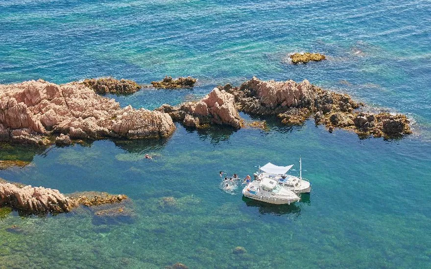 Viajar con perros a Costa Brava