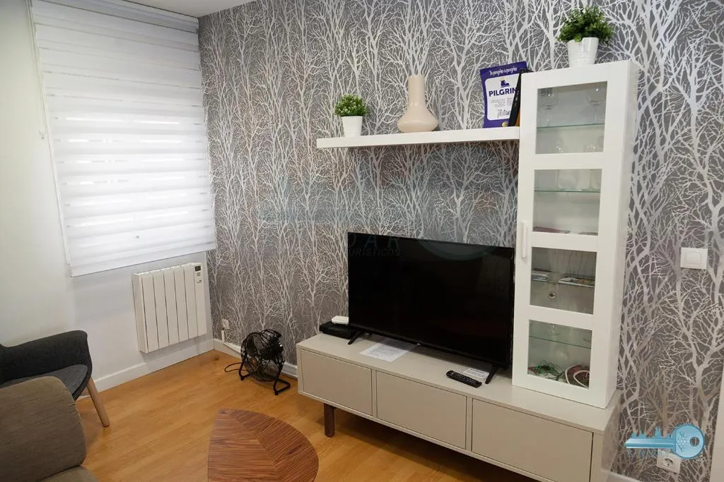 Imagen 1 de Piso centrico y moderno en Logroño Vivienda de uso Turistico