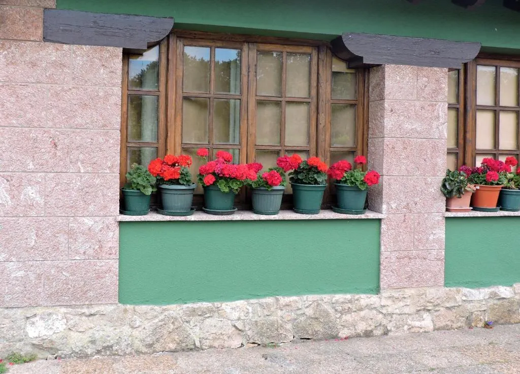 Imagen 7 de La Escuela de Premio