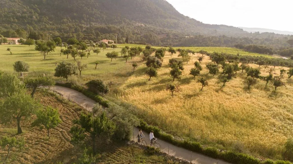 Imagen 4 de Finca Can Beneit