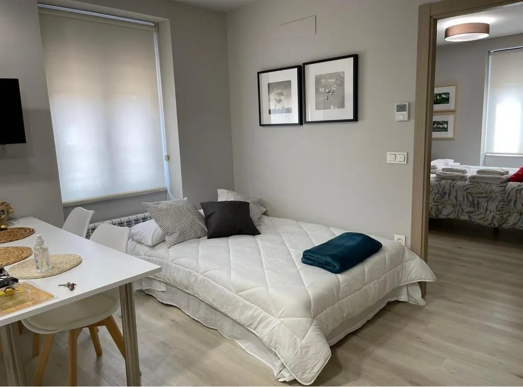Imagen 8 de Apartamentos Puertas del Orbigo