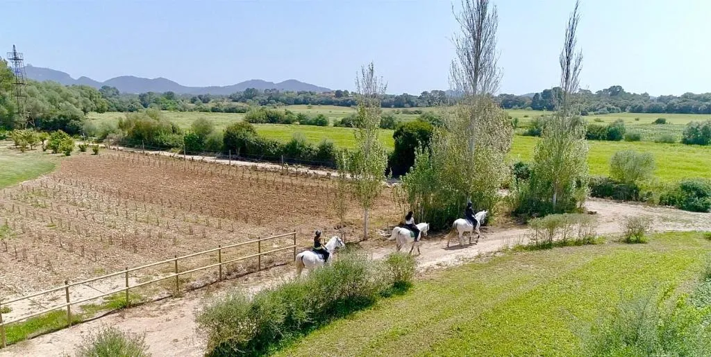 Imagen 3 de Finca Agroturismo Son Menut