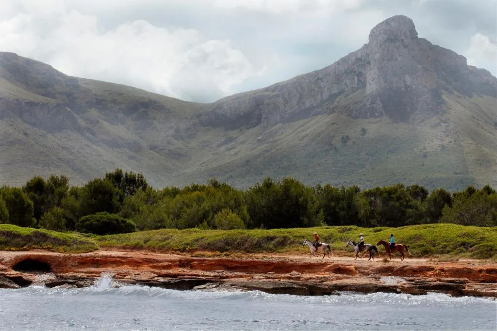 Imagen 4 de Finca Agroturismo Son Menut