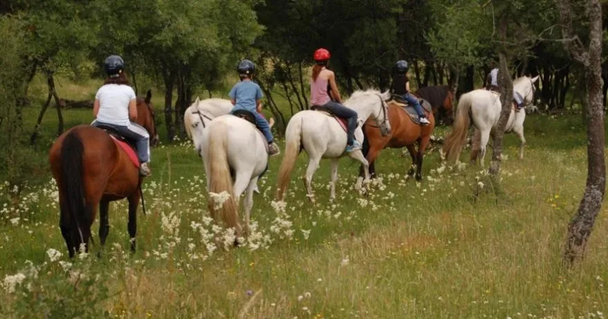 Imagen 1 de Finca Paredes