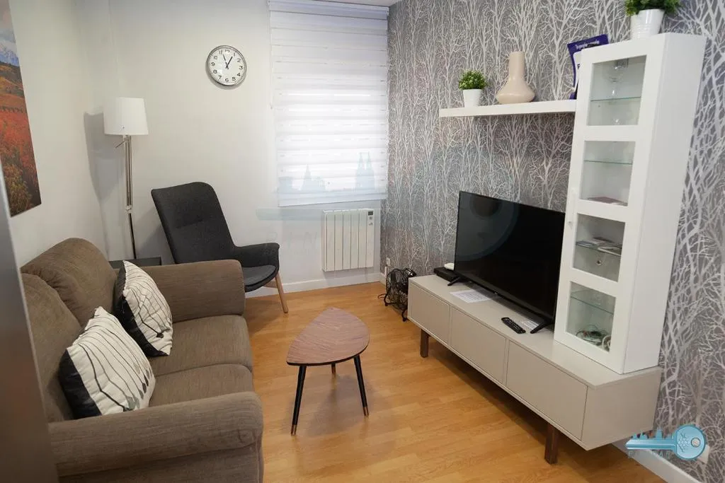 Imagen 5 de Piso centrico y moderno en Logroño Vivienda de uso Turistico