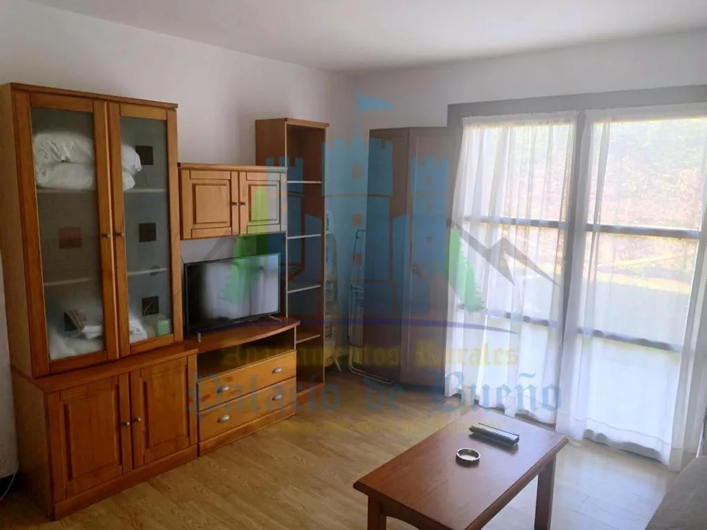 Imagen 5 de Apartamentos Palacio Bueño