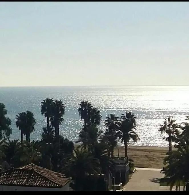 Imagen de salou alexis II