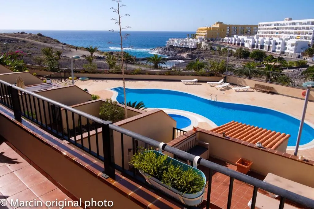 Imagen de Tenerife lizards - duplex in the first line