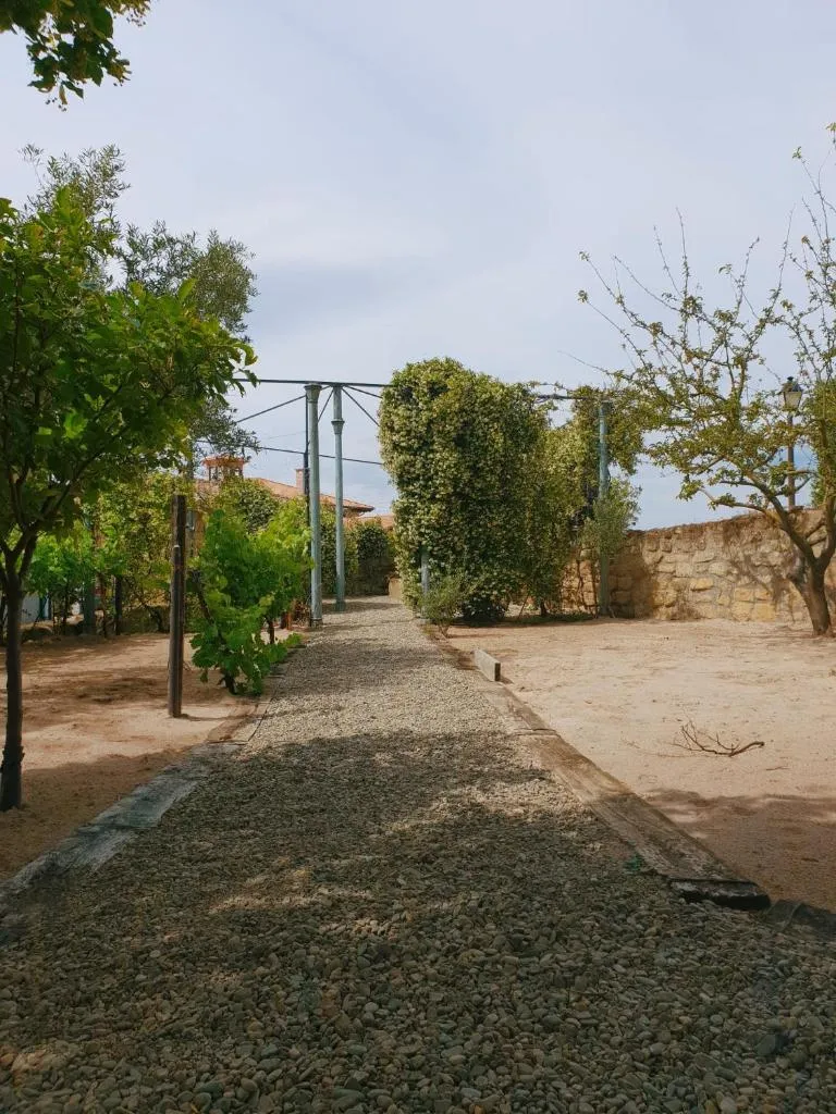 Imagen 7 de Hospedería Señorío de Briñas